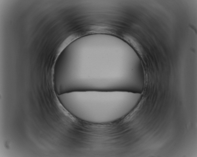 X0000097781386200803070903
