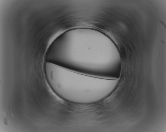 X0000097781387200803070903