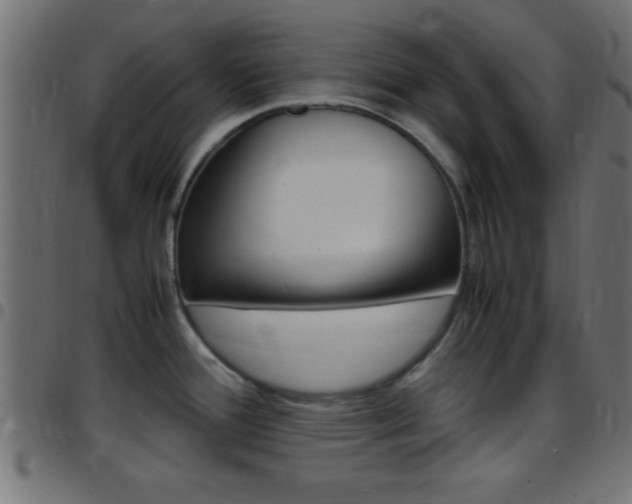 X0000097781388200803070903