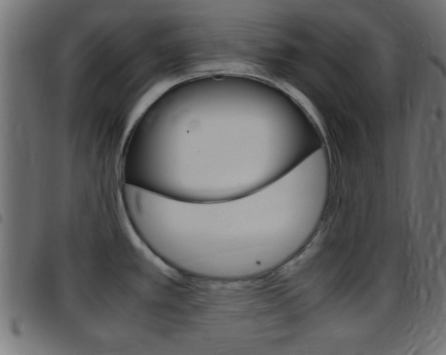 X0000097781389200803070903