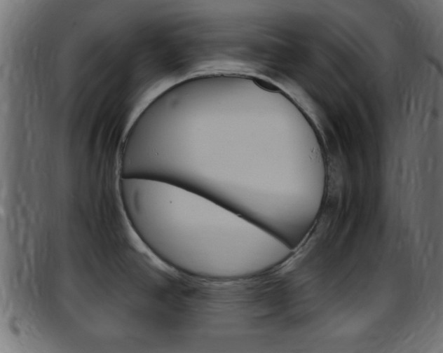 X0000097781390200803070903