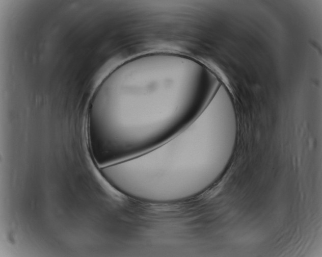 X0000097781391200803070903