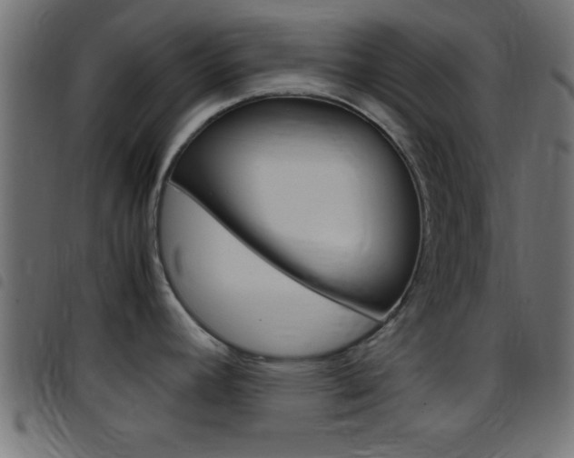 X0000097781392200803070903