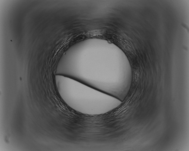 X0000097781393200803070903