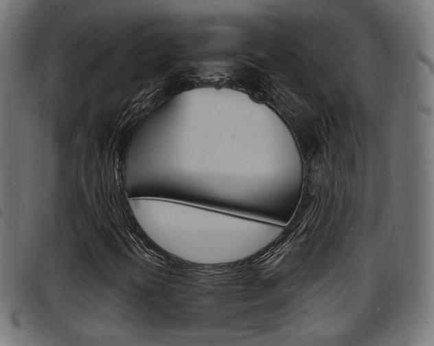 X0000097781394200803070903