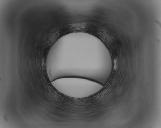 X0000097781395200803070903