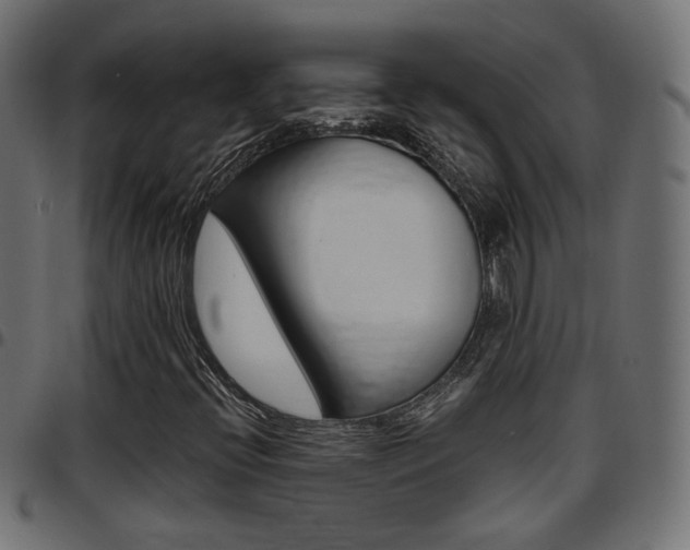 X0000097781396200803070903