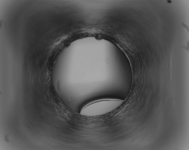 X0000097781398200803070903