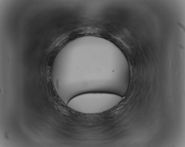 X0000097781399200803070903