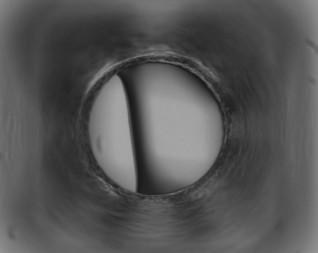 X0000097781400200803070903