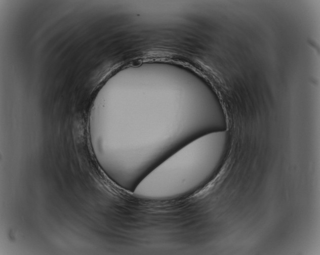 X0000097781401200803070903