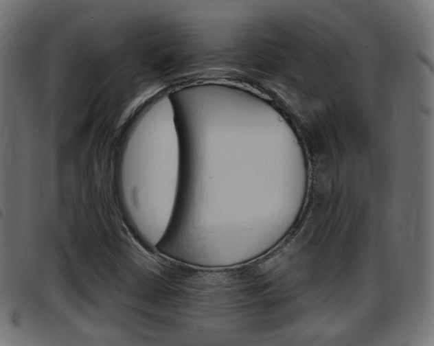 X0000097781402200803070903