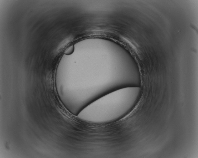 X0000097781403200803070903