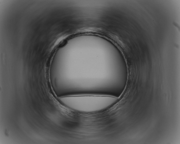 X0000097781404200803070903