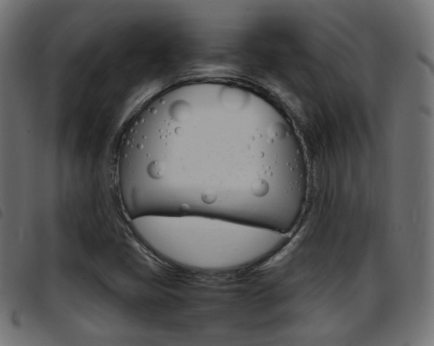 X0000097781405200803070903