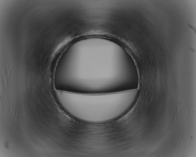 X0000097781406200803070903