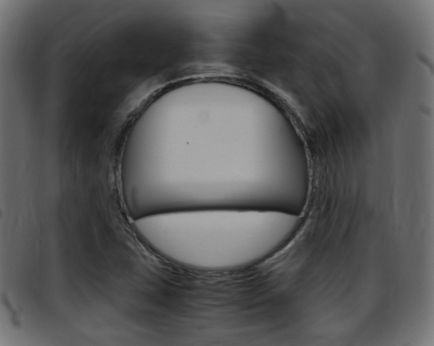 X0000097781407200803070903
