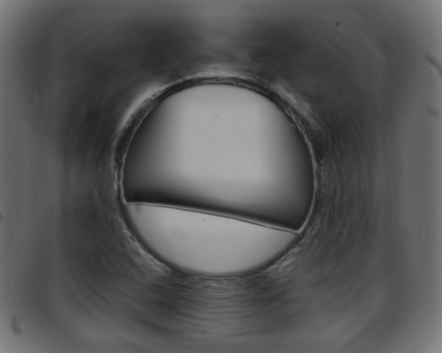 X0000097781408200803070903