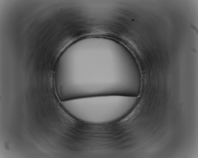 X0000097781409200803070903