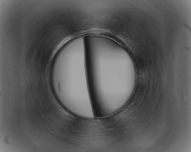 X0000097781410200803070903
