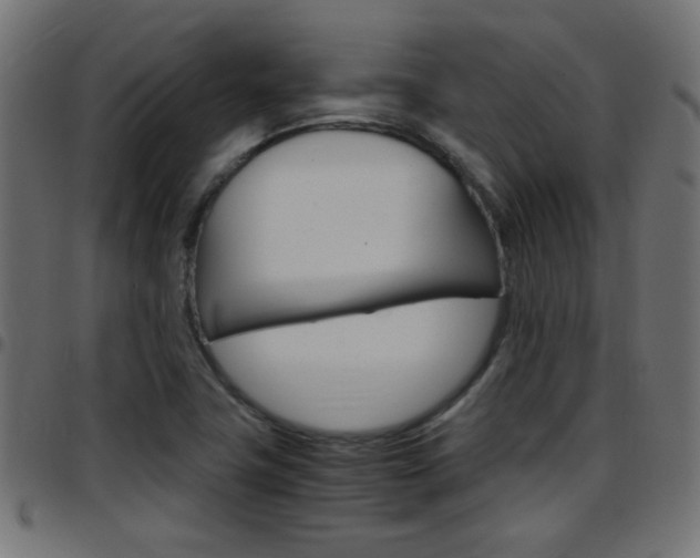 X0000097781411200803070903