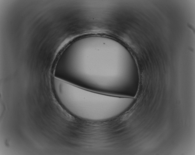 X0000097781412200803070903
