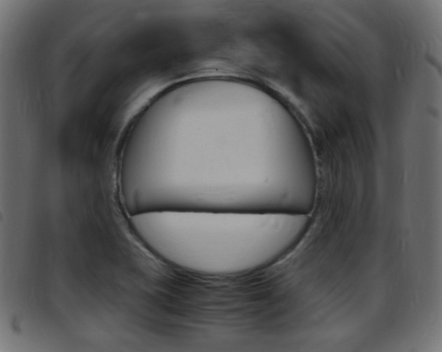 X0000097781415200803070903