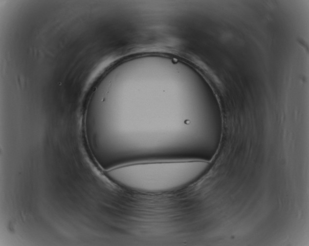X0000097781416200803070903
