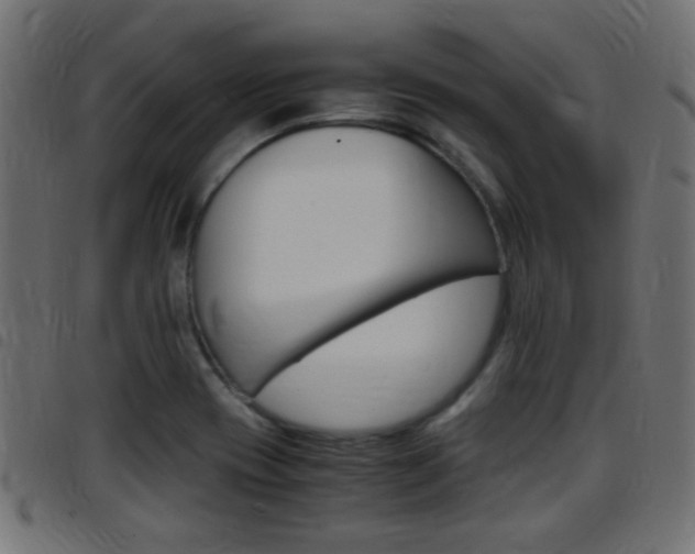 X0000097781417200803070903