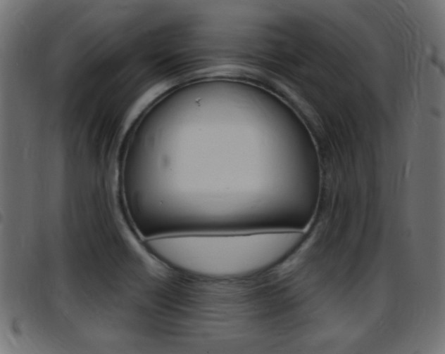 X0000097781418200803070903