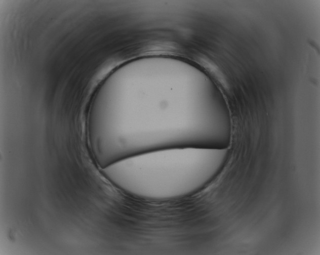 X0000097781419200803070903