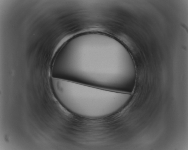 X0000097781420200803070903