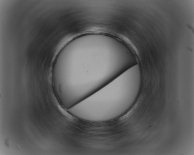 X0000097781421200803070903