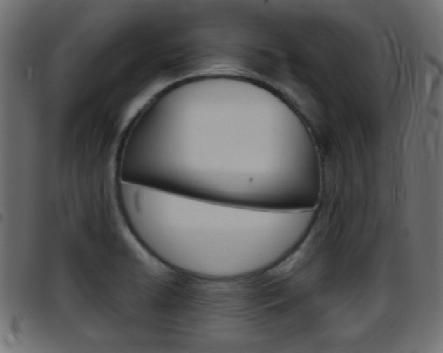 X0000097781422200803070903