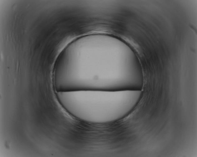 X0000097781423200803070903