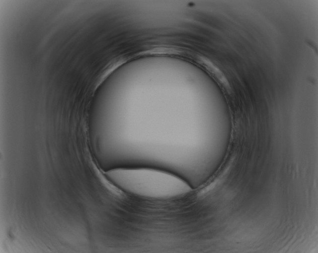 X0000097781425200803070903