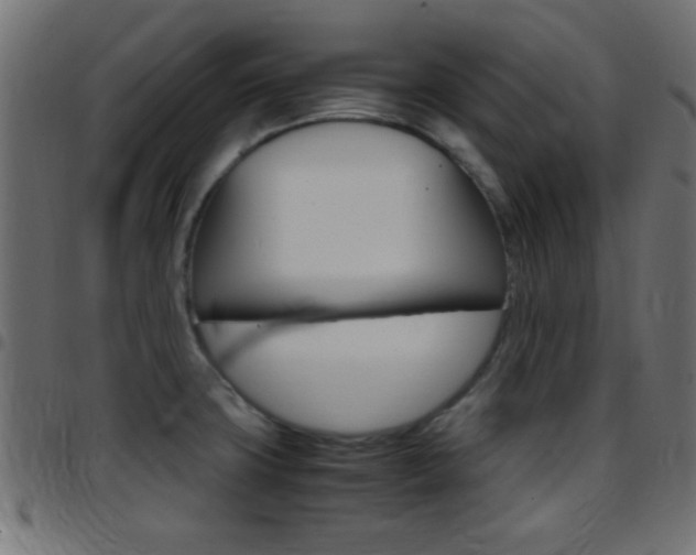 X0000097781427200803070903