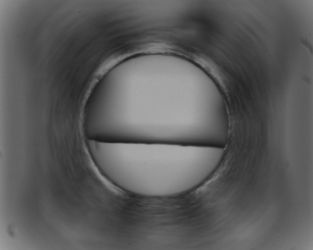 X0000097781429200803070903
