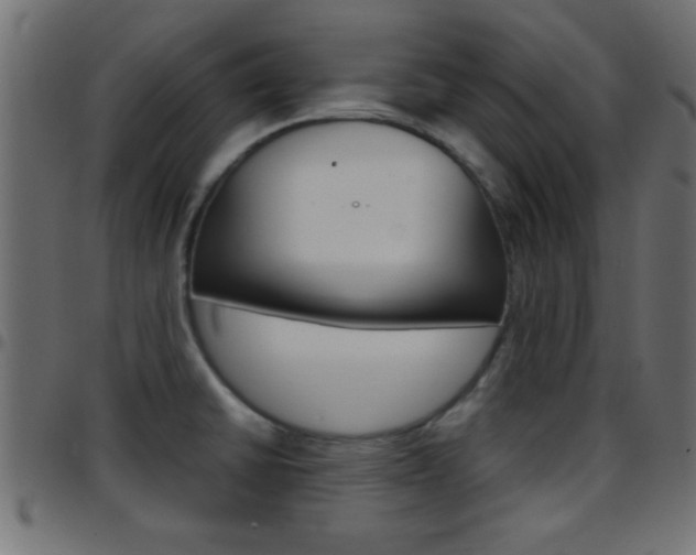 X0000097781430200803070903
