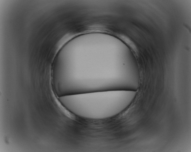 X0000097781431200803070903