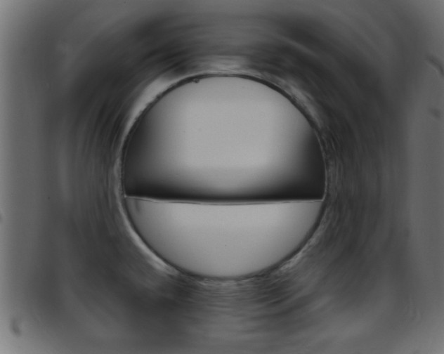 X0000097781432200803070903