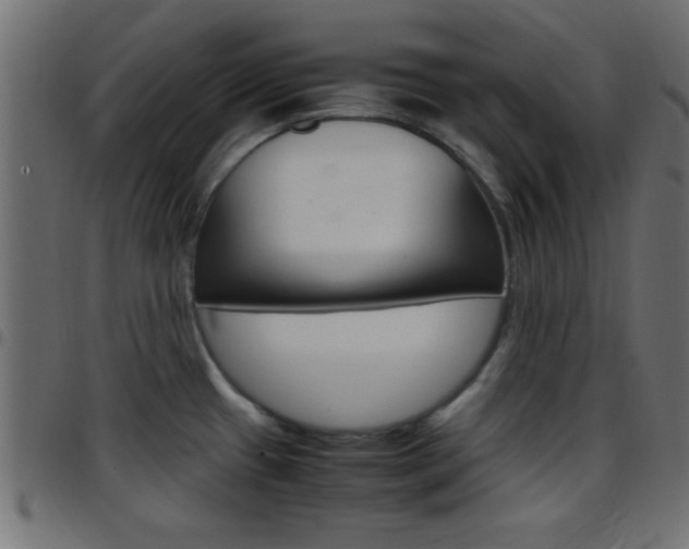 X0000097781433200803070903
