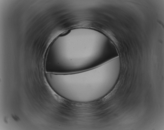 X0000097781434200803070903