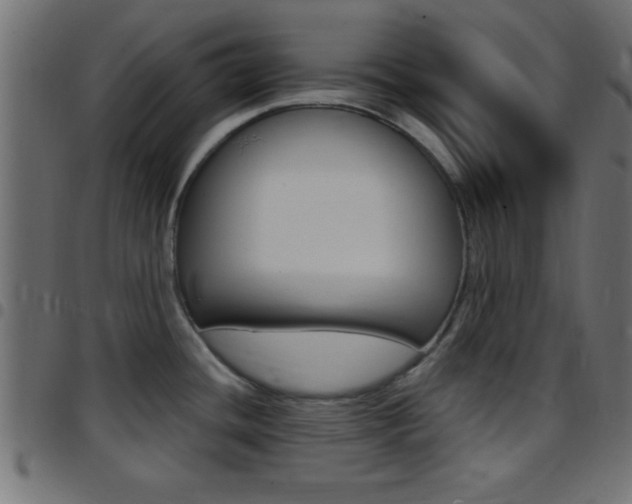 X0000097781436200803070903