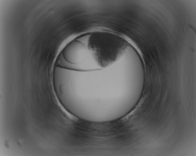 X0000097781437200803070903