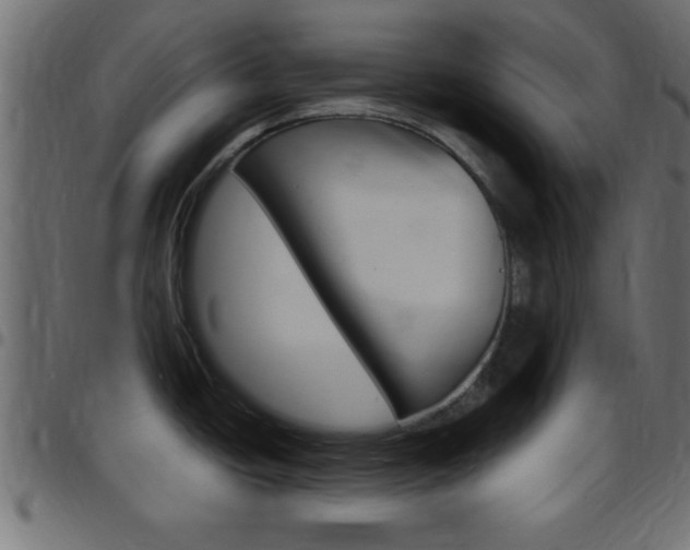 X0000097781438200803070903