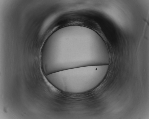X0000097781439200803070903