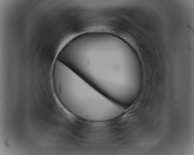 X0000097781440200803070903