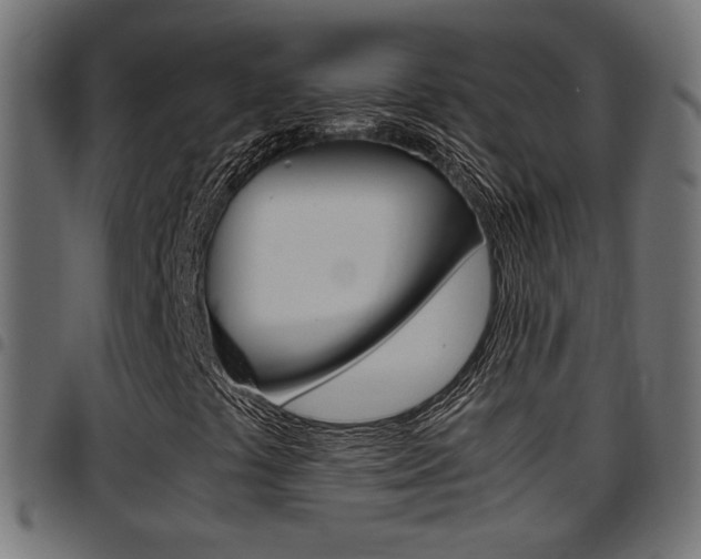 X0000097781441200803070903