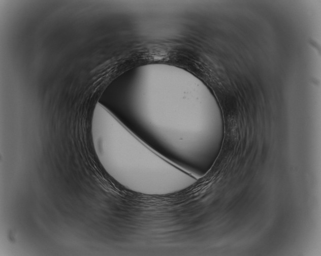 X0000097781442200803070903